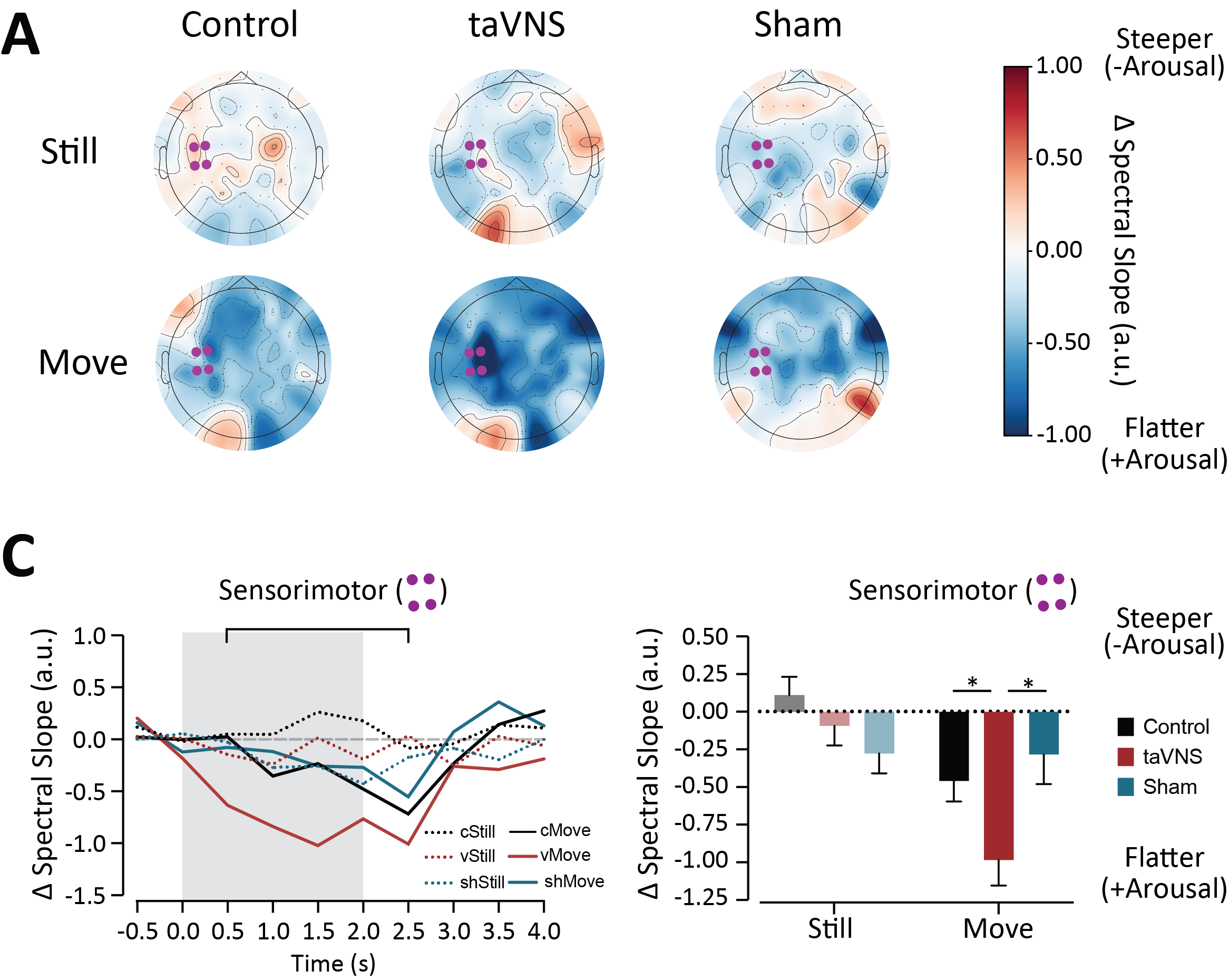 Figure 3: sensorimotor cortex-localized taVNS effects on EEG spectral slope, showing that taVNS flattens the slope over the sensorimotor cortex during movement but not during stillness.