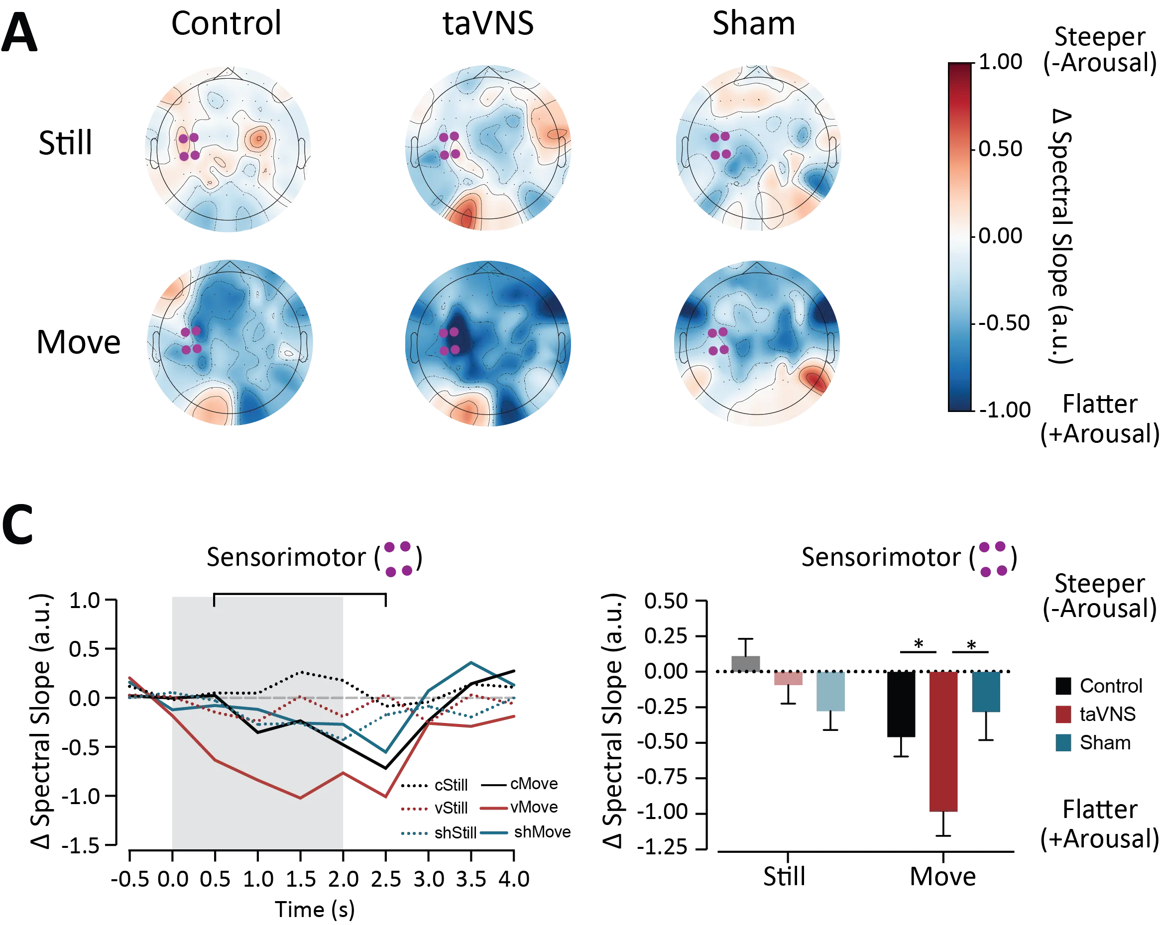 Figure 3: sensorimotor cortex-localized taVNS effects on EEG spectral slope, showing that taVNS flattens the slope over the sensorimotor cortex during movement but not during stillness.
