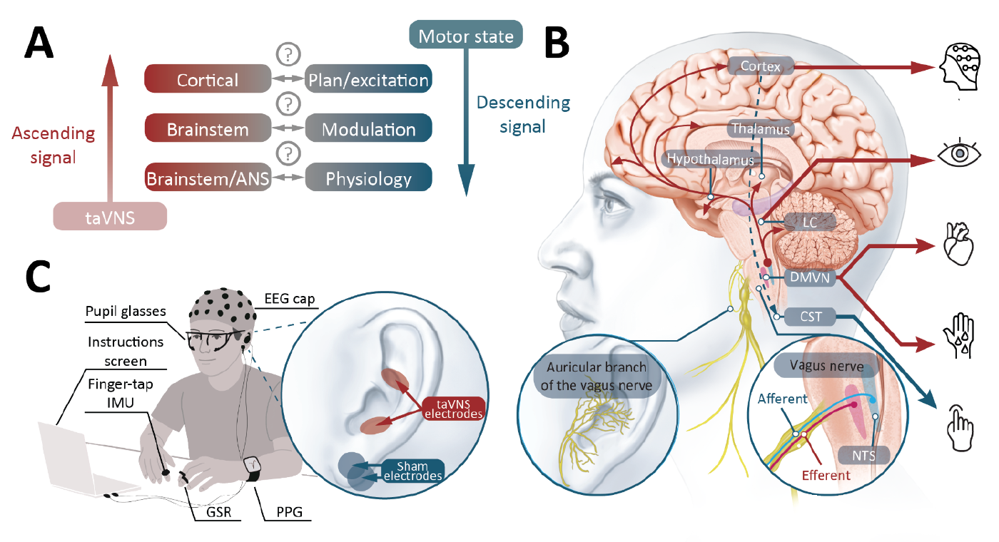 Research Update 2025 1