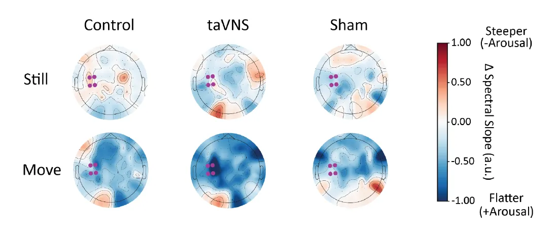 Research Update 2025 2