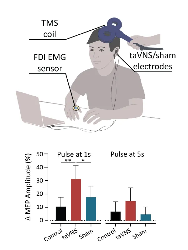 Research Update 2025 3